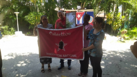 Entregan condición Colectivo Vanguardia Nacional al CNEA