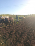 Las transformaciones también son para la producción agropecuaria