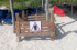 Reportan octavo anidamiento de tortugas en Cayo Coco este año