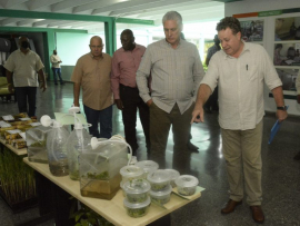 Analizan desempeño de la zafra 2021-2022, la producción más baja en más de cien años