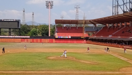 Avispas pican a los Cazadores