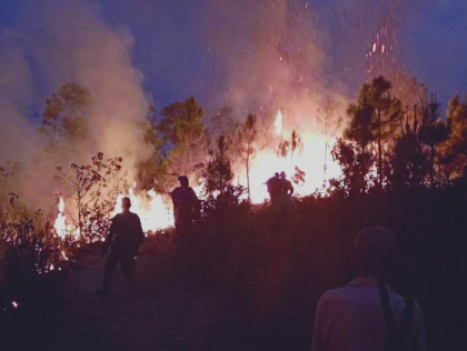 Pronósticos indican otra temporada activa de incendios forestales