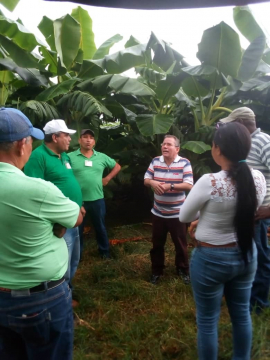 Visita partidista llega al municipio santiaguero de Guamá
