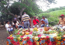 Radio Majaguabo lleva su programación a toda la geografía local