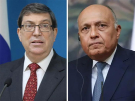 Egipto y Cuba dialogan sobre lazos bilaterales y cumbre global