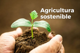 Inivit: los nuevos caminos de la agricultura sostenible