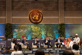 México pide cooperación internacional para atender crisis ambiental