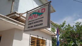 Los anapistas palmeros siempre comprometidos