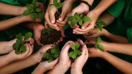 El Medio Ambiente saludable es una de oportunidad de vida