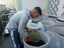 Continúa en Santiago de Cuba lucha antivectorial