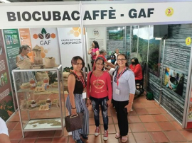 Proyecto BioCubaCafé es certificado internacionalmente