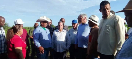 El verdadero "grosor" de El Alambre