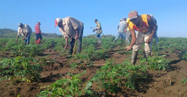 Transformar es producir