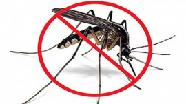Santiago de Cuba en zona de seguridad y sin transmisión de dengue