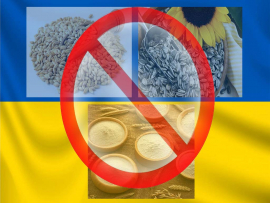 Polonia sugerirá a UE prohibir importación de alimentos ucranianos