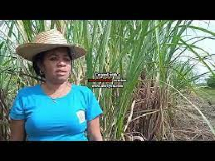 La mujer campesina songomayense comprometida con el desarrollo socioeconómico local