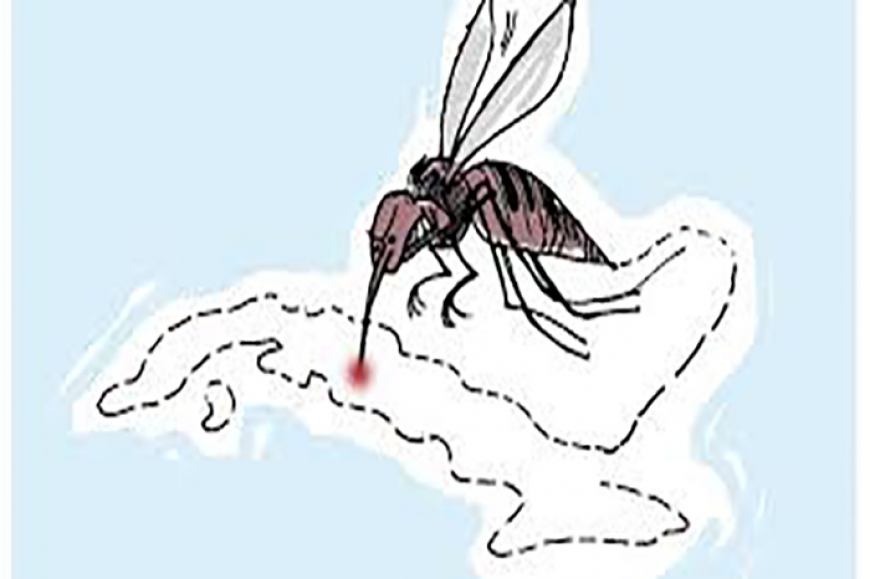 Continúa transmisión activa de Dengue y Oropouche