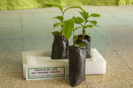 Favorece experimentación científica soberanía alimentaria