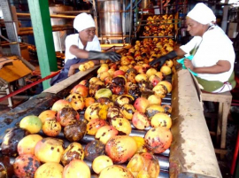 El justo reclamo de las exquisitas frutas santiagueras