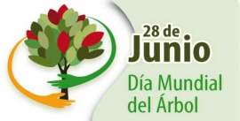 Cuidar los árboles, cuidar la vida