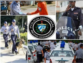 Investigan sustracción de corazones de posible procedencia humana