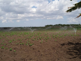 El agua que cae del cielo