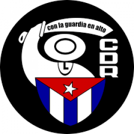 Inmersos los CDR en San Luis en las acciones para saludar su aniversario 64