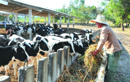 Llevar más alimentos al plato, prioridad en estructura cooperativa sanluisera