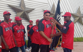 Abanderan a las Avispas para la II Liga Élite de Béisbol