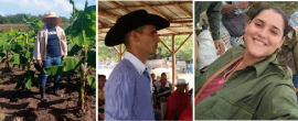 Manos y corazones jóvenes en el campo