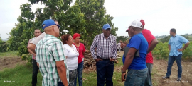 Visita vicepresidente de la República, Salvador Valdés Mesa Polo Productivo El Alambre
