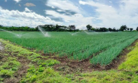 El Alambre se consolida como referente productivo en San Luis