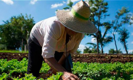 Campesinos de Cuba representados en candidatura al Parlamento