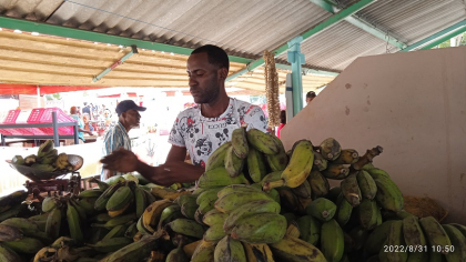 La ruta de los mercados agropecuarios estatales