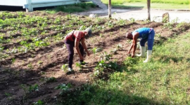 San Luis destaca en la producción de alimentos