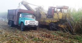 Sanluiseros celebran cumpleaños del Movimiento Millonario de alta productividad