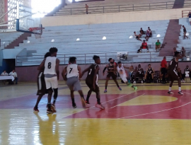Halcones cazan a Los Toros