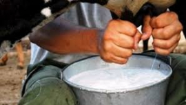 Leche fresca para los niños de Mella