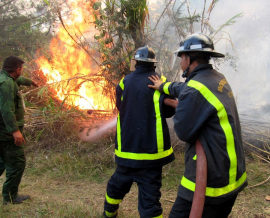 Santiagueros junto a holguineros en batalla contra el fuego