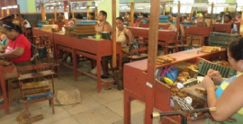 TABACUBA en Santiago: por más eficiencia y calidad