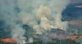 Incendio en Cuba afecta mil 200 hectáreas de bosques