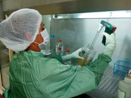 LABEX-CIM: 29 años de ciencia y compromiso