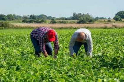 Instan a elevar producción de alimentos en Santiago de Cuba