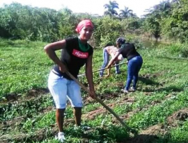 Sobresalen jóvenes en la producción de alimentos en sector cooperativo sanluisero