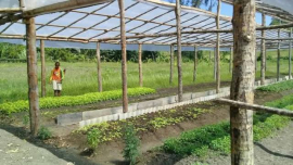 Proponen cambios en sistema agroforestal sanluisero para generar más ingresos