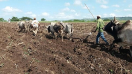 Mella en el camino de la soberanía y seguridad alimentarias