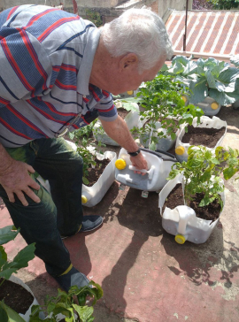 Agricultura urbana en Santiago de Cuba por mejores resultados