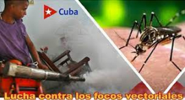 Solo la prevención puede reducir el riesgo