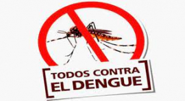El dengue: cuando la prevención falla, el peligro aumenta