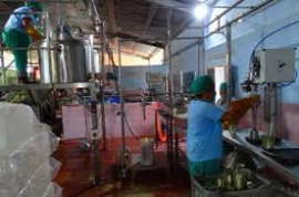 Festejan su día trabajadores de la Industria Alimentaria